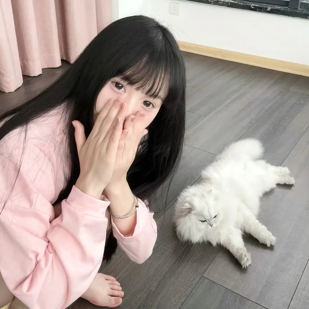 美国来的莫里斯